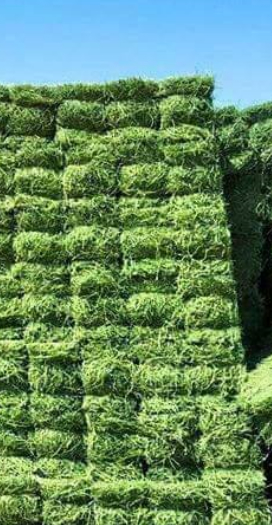 Sustainable agriculture